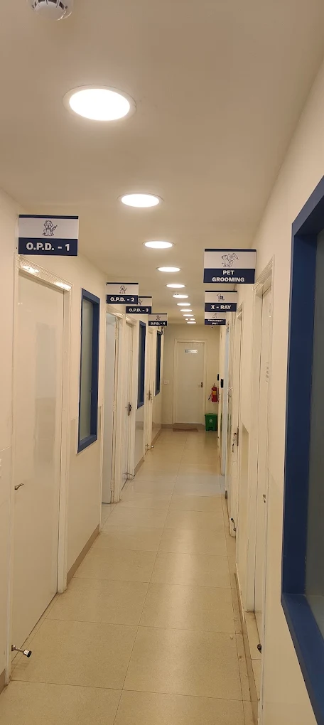 Vetic Pet Clinic Kalyan Nagar Veterinary Clinic in Kalyan Nagar, Bengaluru — Facility Photo 2
