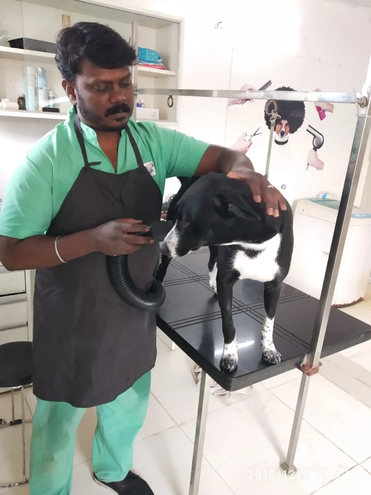Cessna Lifeline Veterinary Hospital, Hosur Main Road Veterinary Clinic in Singasandra, Bengaluru — Facility Photo 7