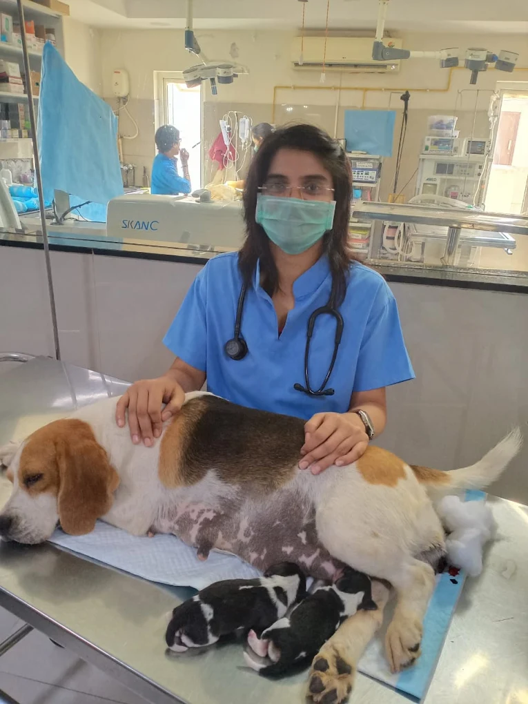 Cessna Lifeline Veterinary Hospital, Domlur Veterinary Clinic in Domlur, Bengaluru — Facility Photo 2