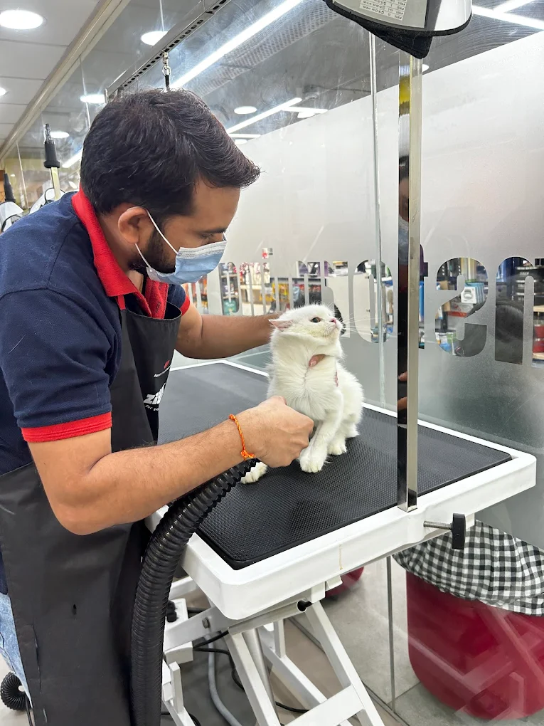Zigly Pet Care, Begumpet Veterinary Clinic in Begumpet, Hyderabad — Facility Photo 5