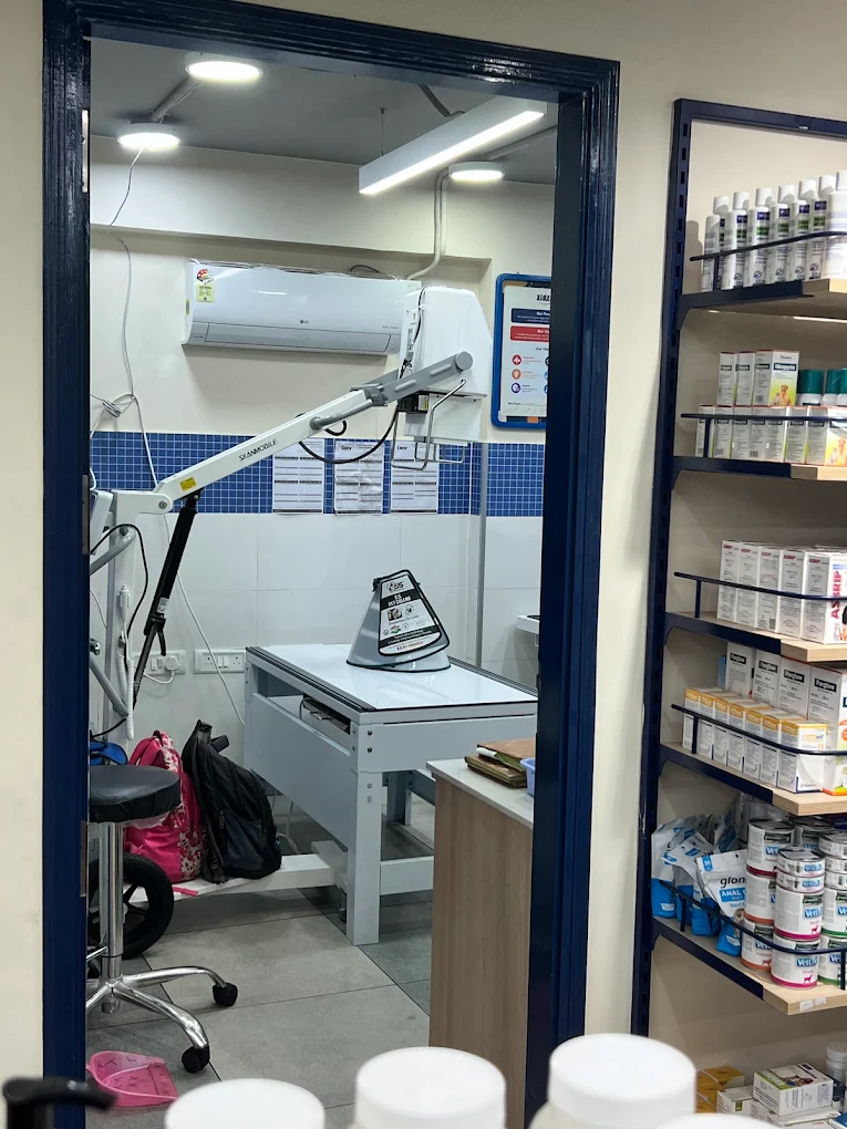 Zigly Pet Care, Begumpet Veterinary Clinic in Begumpet, Hyderabad — Facility Photo 3