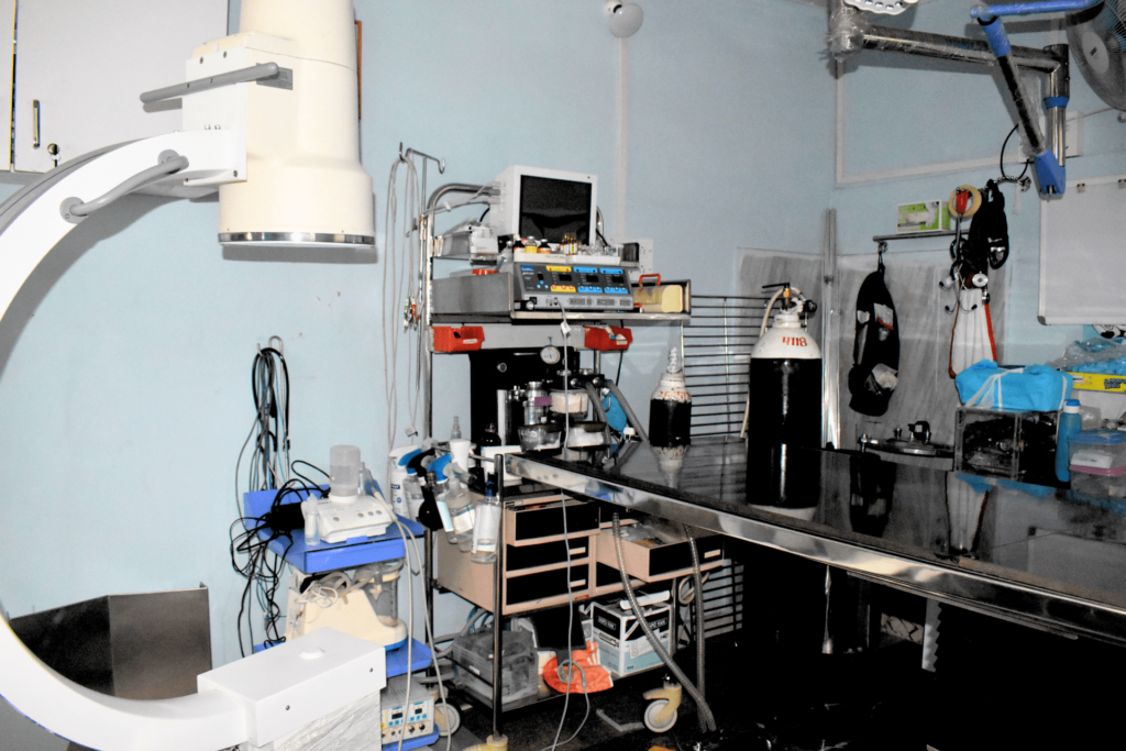 Advitha Pet Hospital Electronic City Veterinary Clinic in Electronic City, Bengaluru — Facility Photo 9