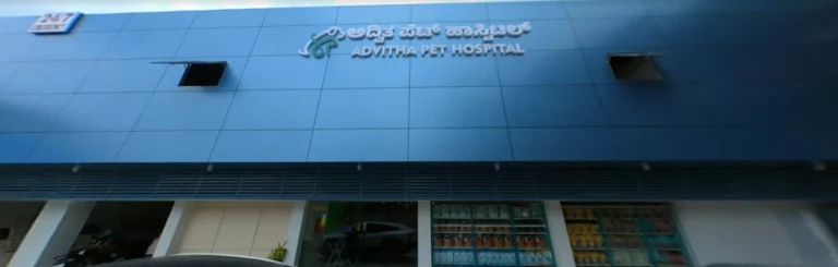 Advitha Pet Hospital Electronic City - Pet Clinic in Electronic City, Bengaluru
