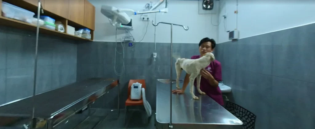 Advitha Pet Hospital Electronic City Veterinary Clinic in Electronic City, Bengaluru — Facility Photo 7