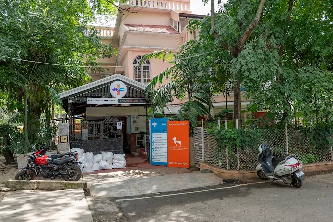 All Paws Veterinary Clinic - Pet Clinic in RMV 2nd Stage, Bengaluru