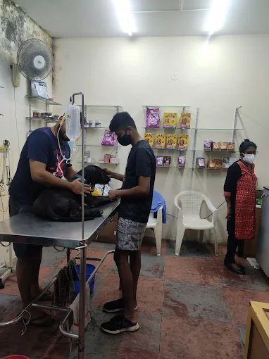 Anu Pet Clinic Veterinary Clinic in Kammanahalli, Bengaluru — Facility Photo 3