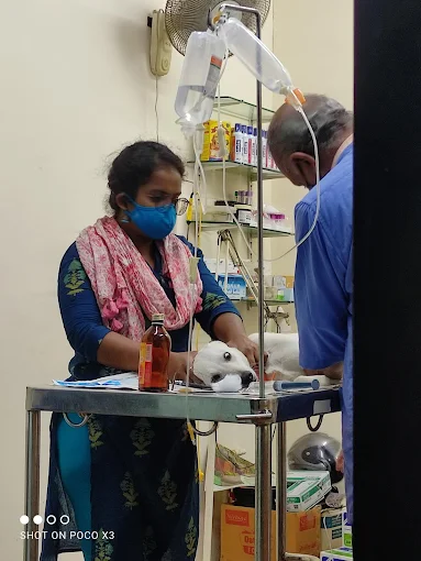 Anu Pet Clinic Veterinary Clinic in Kammanahalli, Bengaluru — Facility Photo 7
