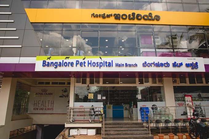 Bangalore Pet Hospital Veterinary Clinic in Whitefield, Bengaluru — Facility Photo 10