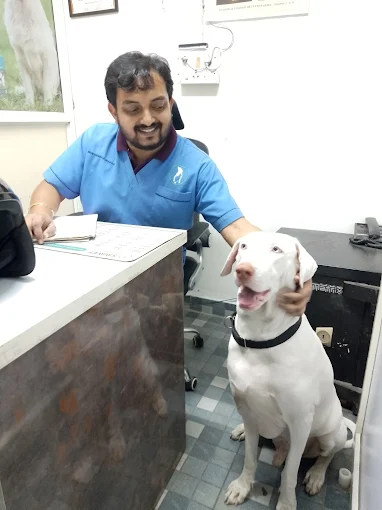 BTM VET clinic Veterinary Clinic in BTM Layout, Bengaluru — Facility Photo 2