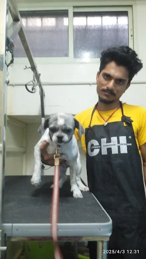 BTM VET clinic Veterinary Clinic in BTM Layout, Bengaluru — Facility Photo 5