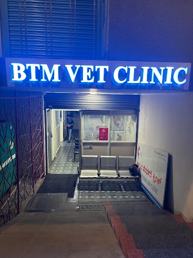 BTM VET clinic - Pet Clinic in BTM Layout, Bengaluru