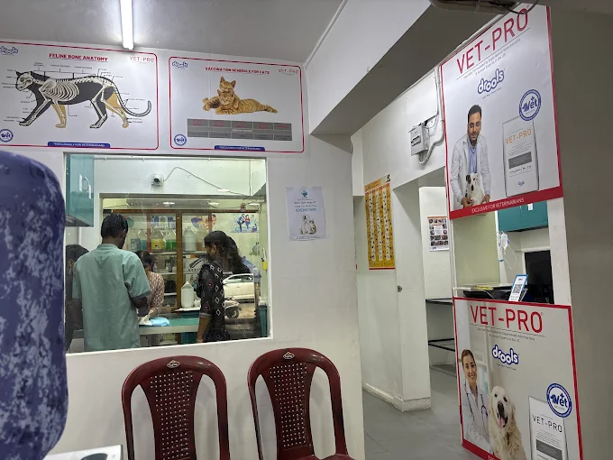 Care Vet Hospital Veterinary Clinic in Jeevan Bima Nagar, Bengaluru — Facility Photo 3