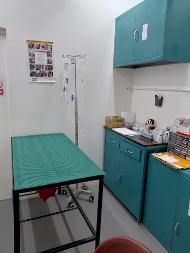 Care Vet Hospital Veterinary Clinic in Jeevan Bima Nagar, Bengaluru — Facility Photo 5