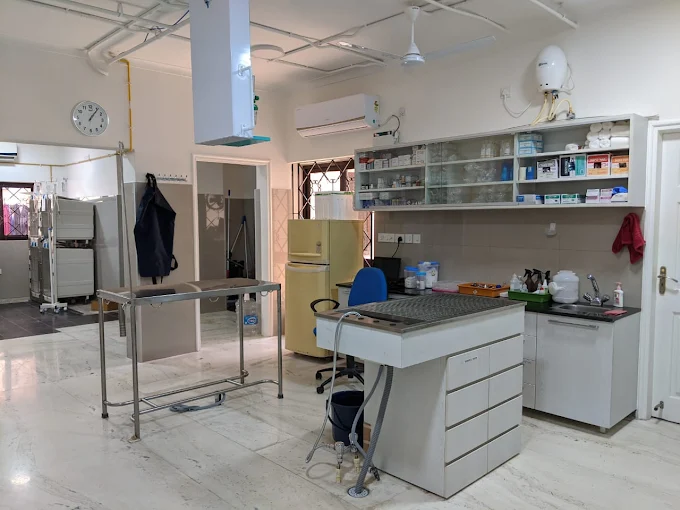 Cessna Lifeline Veterinary Hospital, Sadashiva Nagar Veterinary Clinic in Sadashiva Nagar, Bengaluru — Facility Photo 2