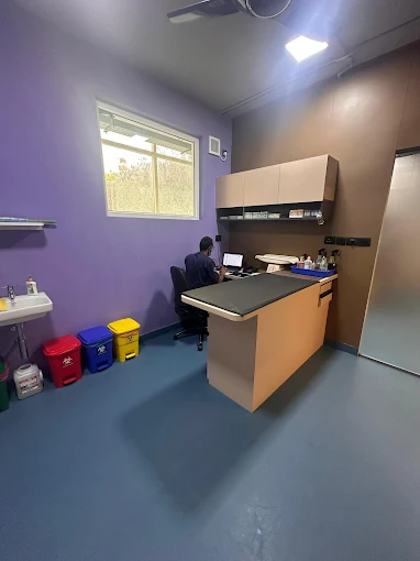 Cessna Lifeline Veterinary Hospital, Sadashiva Nagar Veterinary Clinic in Sadashiva Nagar, Bengaluru — Facility Photo 5