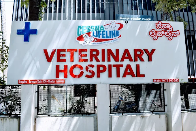 Cessna Lifeline Veterinary Hospital, Sadashiva Nagar - Pet Clinic in Sadashiva Nagar, Bengaluru