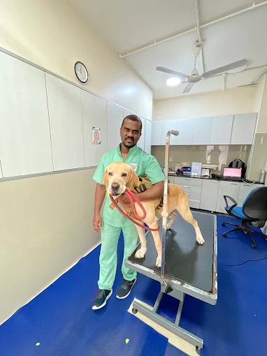 Cessna Lifeline Veterinary Hospital, Sadashiva Nagar Veterinary Clinic in Sadashiva Nagar, Bengaluru — Facility Photo 8