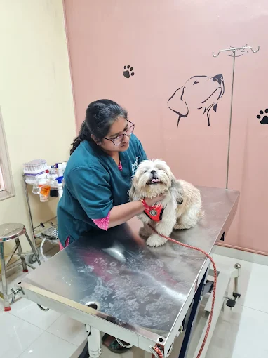 Curio Pets Clinic Veterinary Clinic in Basaveshwar Nagar, Bengaluru — Facility Photo 2