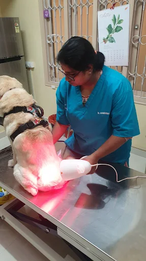 Curio Pets Clinic Veterinary Clinic in Basaveshwar Nagar, Bengaluru — Facility Photo 5