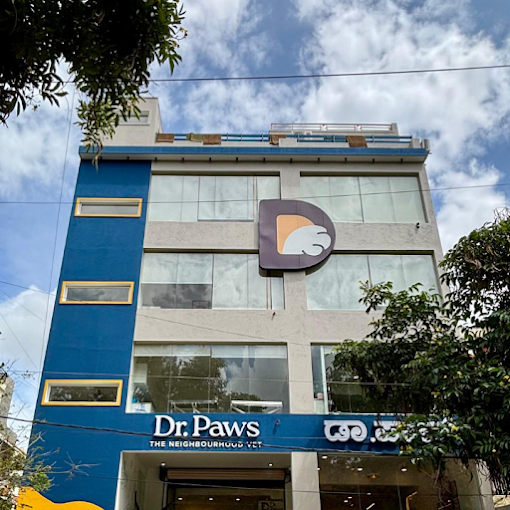 Dr. Paws RMV Sanjaynagar – 24×7 Veterinary Clinic in RMV 2nd Stage, Bengaluru — Facility Photo 7