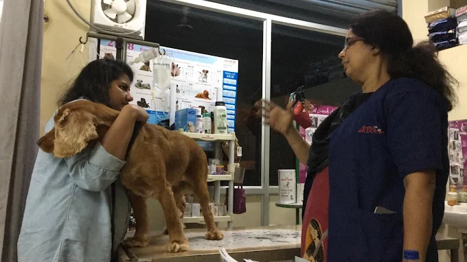 Dr Revathi’s Pet Clinic Veterinary Clinic in BTM Layout, Bengaluru — Facility Photo 2