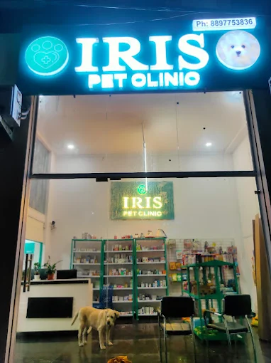 Iris Pet Clinic - Pet Clinic in Manikonda, Hyderabad