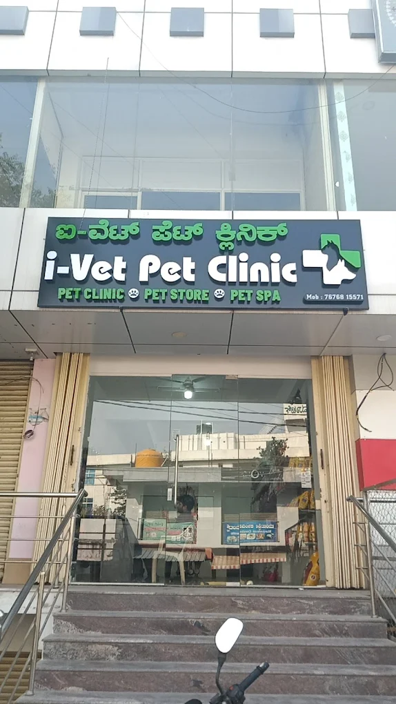 i-Vet Pet Clinic - Pet Clinic in Bommanahalli, Bengaluru