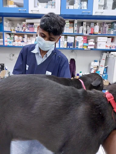 Jeeva Pet Hospital, JP Nagar Veterinary Clinic in JP Nagar, Bengaluru — Facility Photo 6