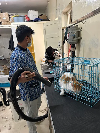 Jeeva Pet Hospital, JP Nagar Veterinary Clinic in JP Nagar, Bengaluru — Facility Photo 8