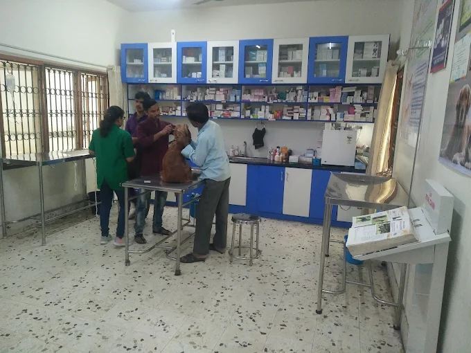 Jeeva Pet Hospital, JP Nagar Veterinary Clinic in JP Nagar, Bengaluru — Facility Photo 9