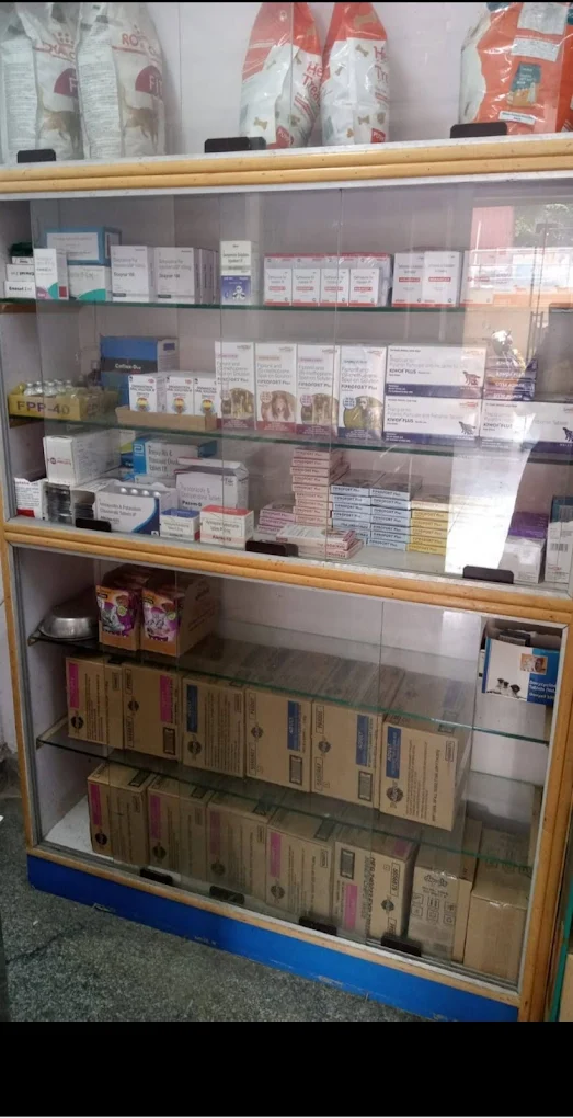 Lifeline Pet Clinic Veterinary Clinic in Nagasandra, Bengaluru — Facility Photo 3