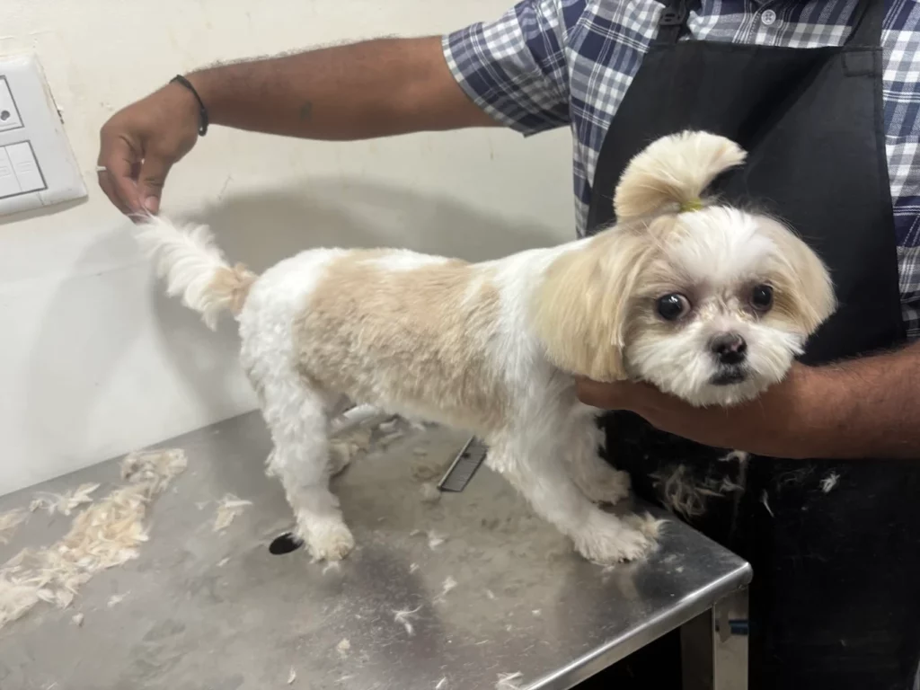 Lifeline Pet Clinic Veterinary Clinic in Nagasandra, Bengaluru — Facility Photo 4