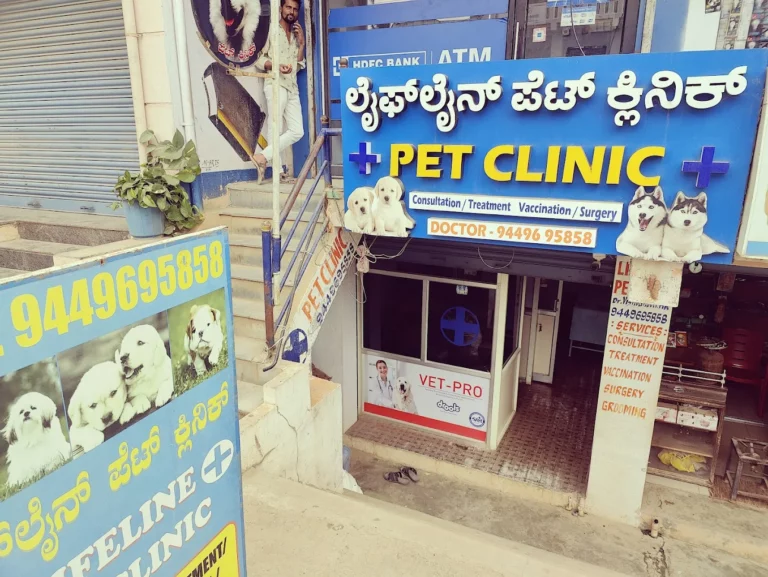Lifeline Pet Clinic - Pet Clinic in Nagasandra, Bengaluru