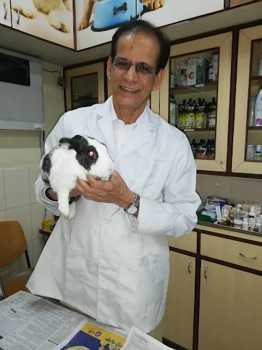 Pampapathi Multi Speciality Pet Hospital Veterinary Clinic in JP Nagar, Bengaluru — Facility Photo 4