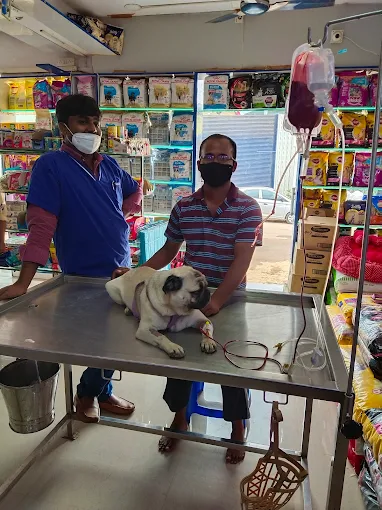 Paws And Claws Pet Clinic and Shoppe, Abbigere Veterinary Clinic in Abbigere, Bengaluru — Facility Photo 4