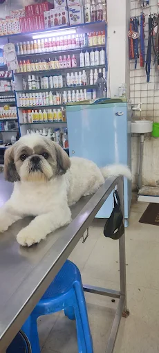 Paws And Claws Pet Clinic and Shoppe, Abbigere Veterinary Clinic in Abbigere, Bengaluru — Facility Photo 7