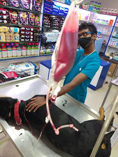 Paws And Claws Pet Clinic and Shoppe, Abbigere Veterinary Clinic in Abbigere, Bengaluru — Facility Photo 8