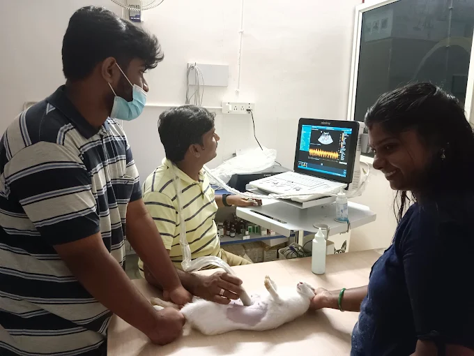 Paws And Claws Pet Clinic and Shoppe, Abbigere Veterinary Clinic in Abbigere, Bengaluru — Facility Photo 10