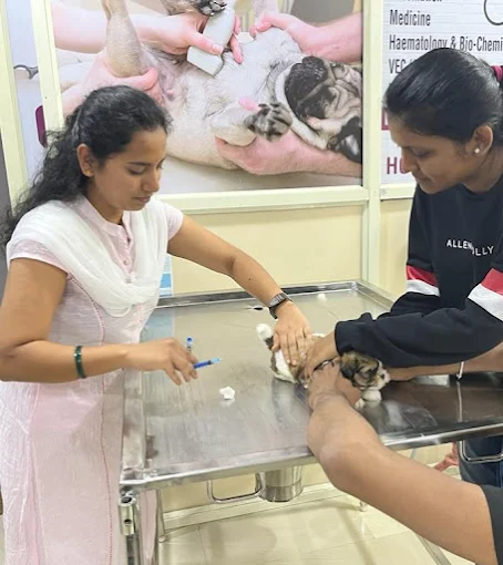 Paws and Claws Pet Clinic And Shoppe, Basaveshwar Nagar Veterinary Clinic in Basaveshwar Nagar, Bengaluru — Facility Photo 8