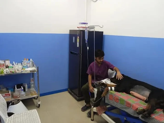 Paws Valley Pet Hospital Kaggadaspura Veterinary Clinic in Kaggadasapura, Bengaluru — Facility Photo 6
