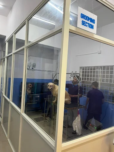 Paws Valley Pet Hospital Kaggadaspura Veterinary Clinic in Kaggadasapura, Bengaluru — Facility Photo 7