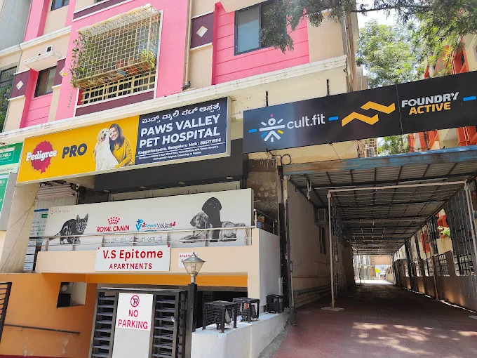 Paws Valley Pet Hospital Kaggadaspura - Pet Clinic in Kaggadasapura, Bengaluru