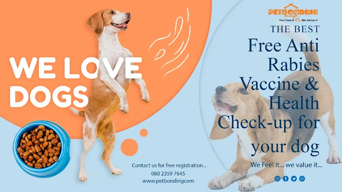 Petbonding Veterinary Clinic Veterinary Clinic in Mahalakshmipuram, Bengaluru — Facility Photo 2