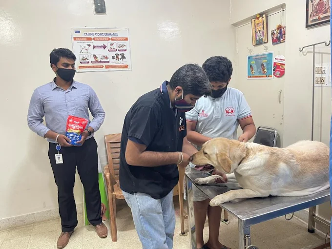 Pets Plaaza – Pet Shop and Clinic Veterinary Clinic in Basaveshwar Nagar, Bengaluru — Facility Photo 6