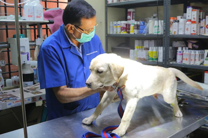 Prajna Veterinary Clinic Veterinary Clinic in Banashankari, Bengaluru — Facility Photo 2