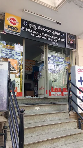 Prajna Veterinary Clinic Veterinary Clinic in Banashankari, Bengaluru — Facility Photo 6