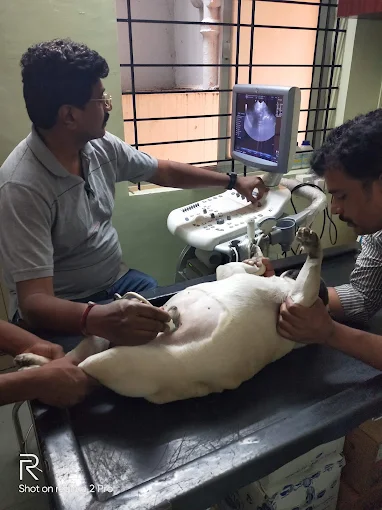 Prakruthi Vet Hospital Veterinary Clinic in Banashankari, Bengaluru — Facility Photo 2