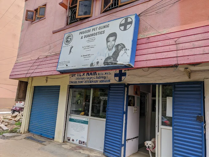 Precise Pet Clinic - Pet Clinic in HAL 3rd Stage, Bengaluru