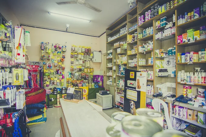 Precise Pet Clinic Veterinary Clinic in Jeevan Bima Nagar, Bengaluru — Facility Photo 3