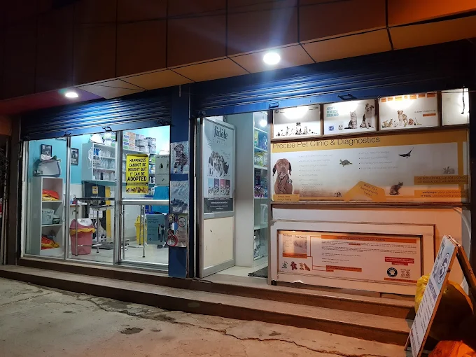 Precise Pet Clinic Veterinary Clinic in Jeevan Bima Nagar, Bengaluru — Facility Photo 4